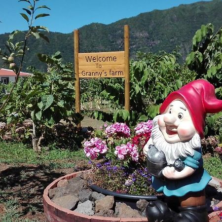 Granny'S Farm Guest House Sao Vicente  Ngoại thất bức ảnh