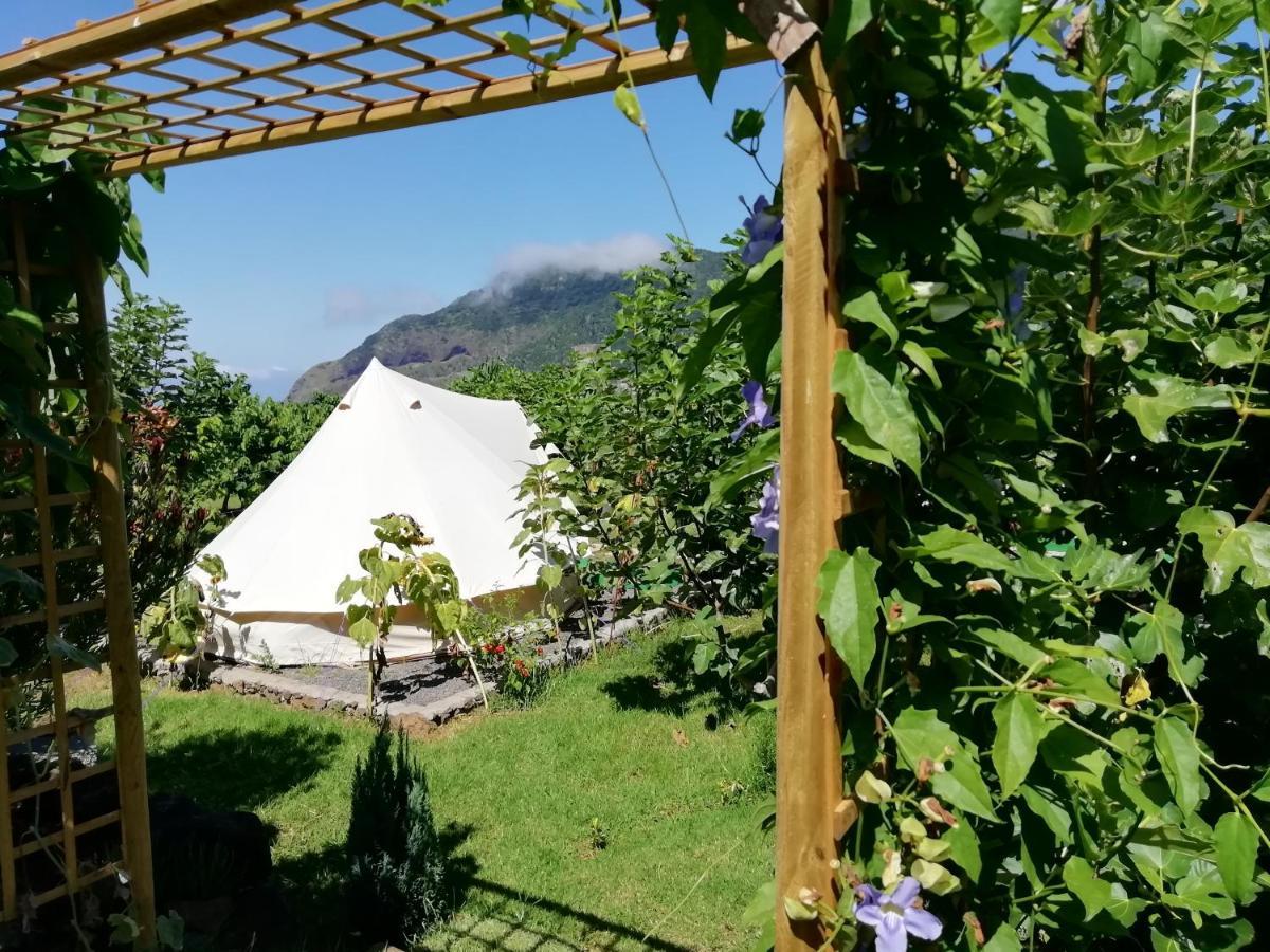 Granny'S Farm Guest House Sao Vicente  Ngoại thất bức ảnh