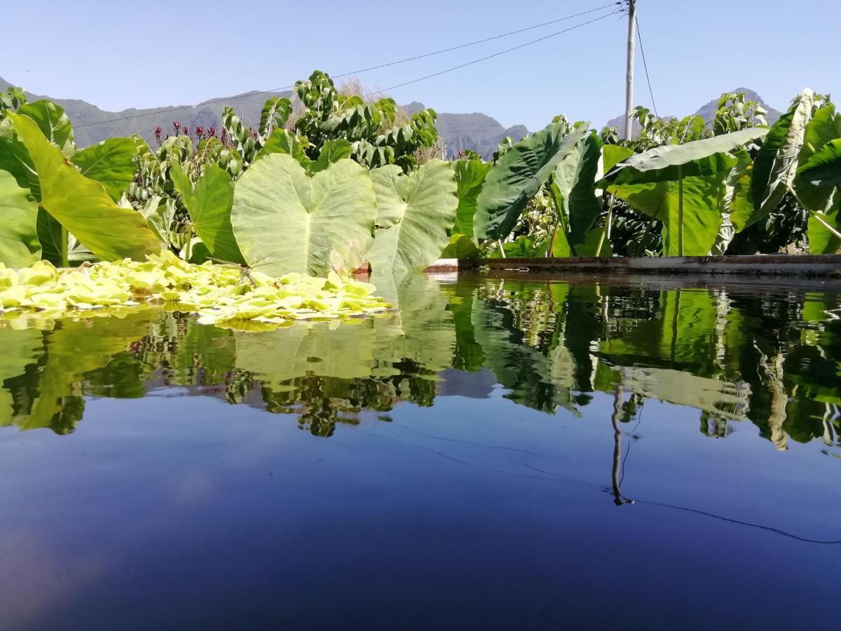 Granny'S Farm Guest House Sao Vicente  Ngoại thất bức ảnh