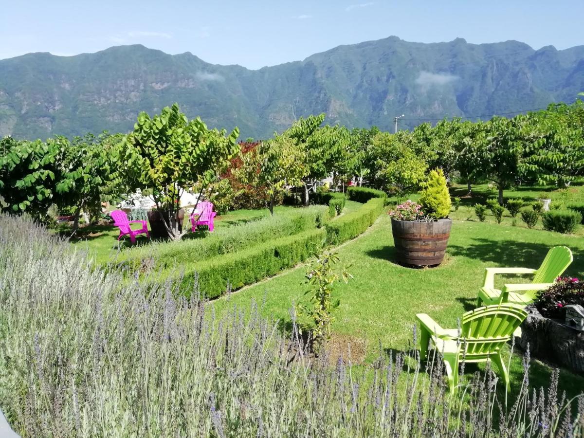 Granny'S Farm Guest House Sao Vicente  Ngoại thất bức ảnh