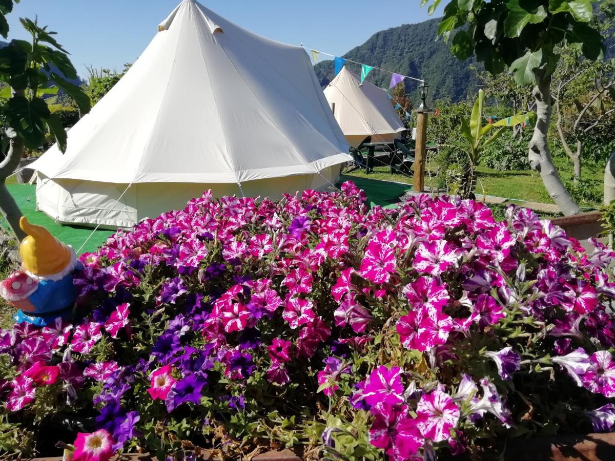 Granny'S Farm Guest House Sao Vicente  Ngoại thất bức ảnh