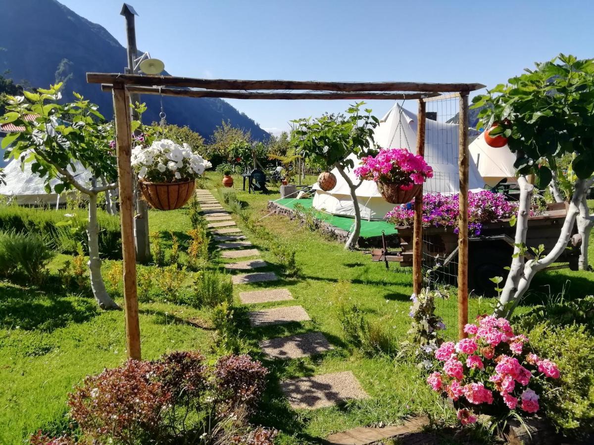 Granny'S Farm Guest House Sao Vicente  Ngoại thất bức ảnh