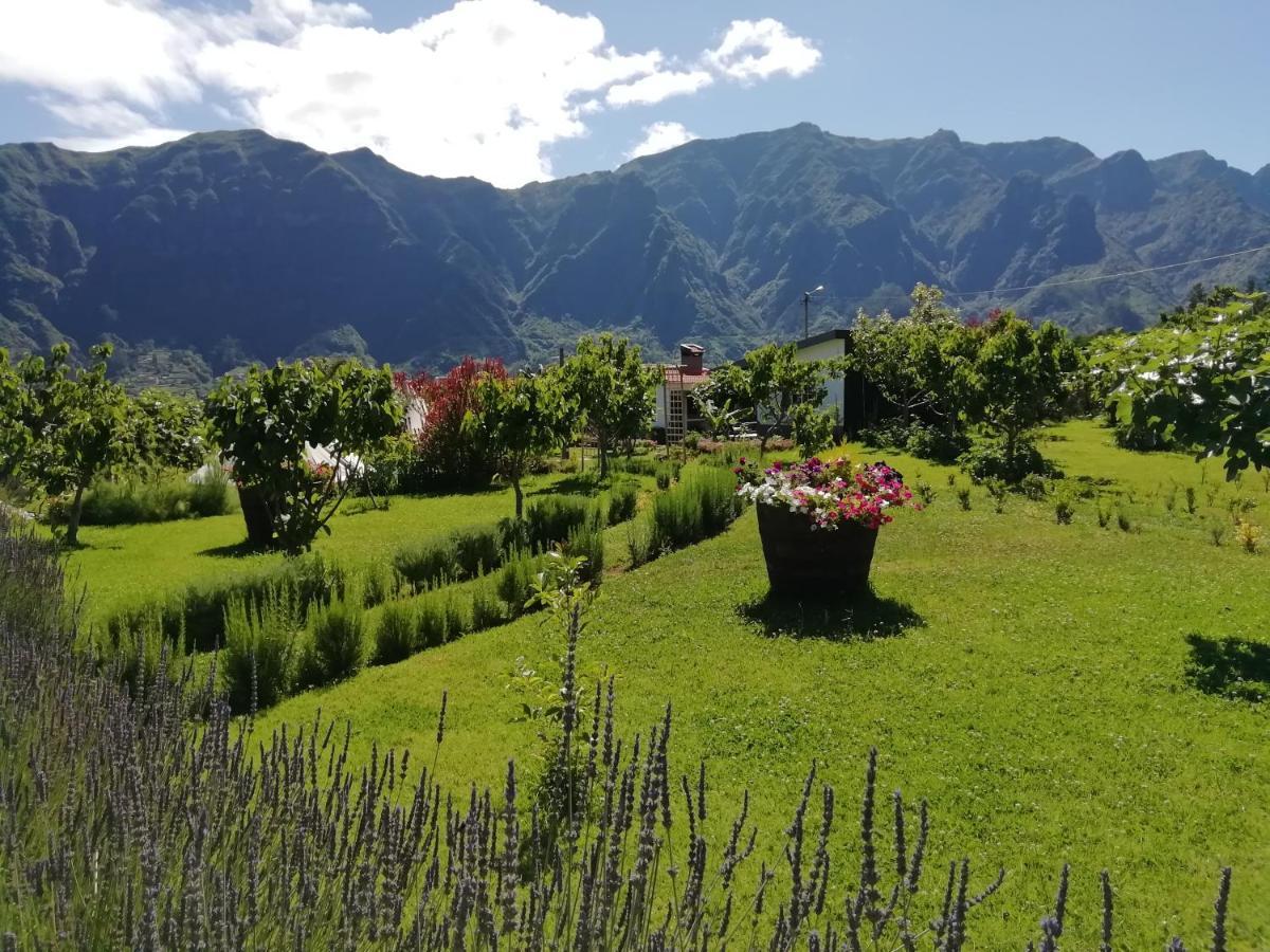 Granny'S Farm Guest House Sao Vicente  Ngoại thất bức ảnh
