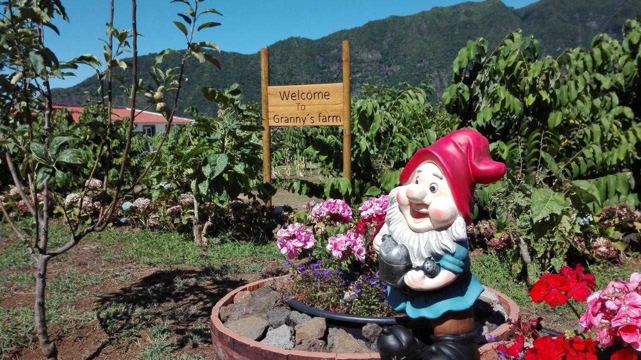Granny'S Farm Guest House Sao Vicente  Ngoại thất bức ảnh