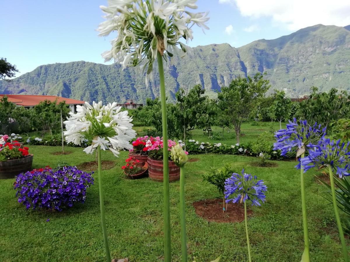 Granny'S Farm Guest House Sao Vicente  Ngoại thất bức ảnh