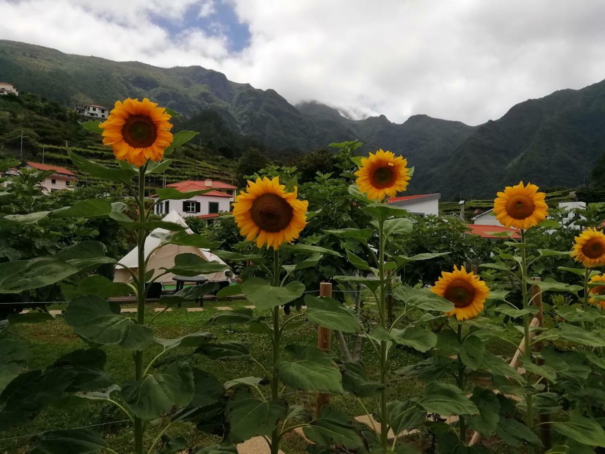 Granny'S Farm Guest House Sao Vicente  Ngoại thất bức ảnh