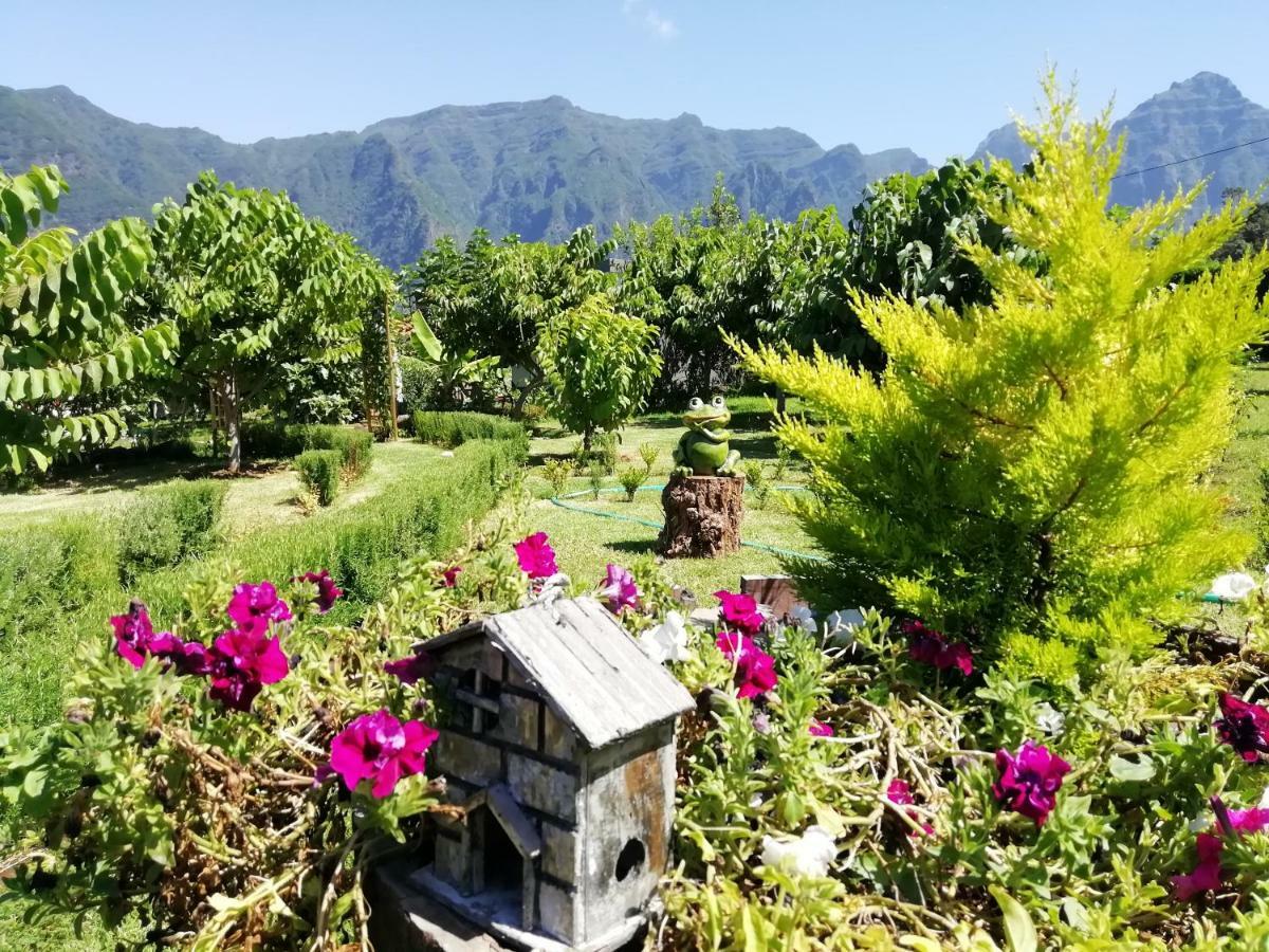 Granny'S Farm Guest House Sao Vicente  Ngoại thất bức ảnh