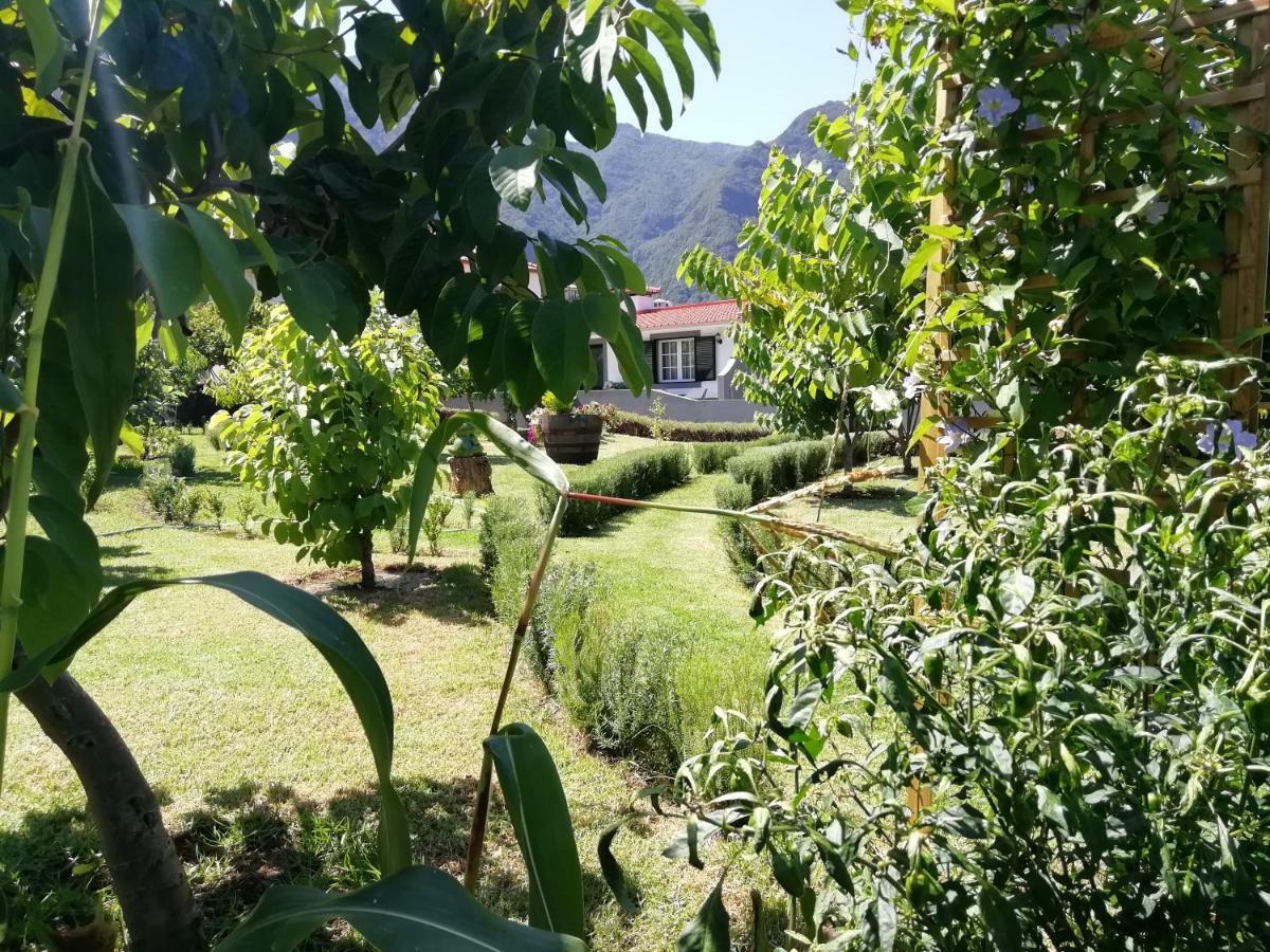 Granny'S Farm Guest House Sao Vicente  Ngoại thất bức ảnh
